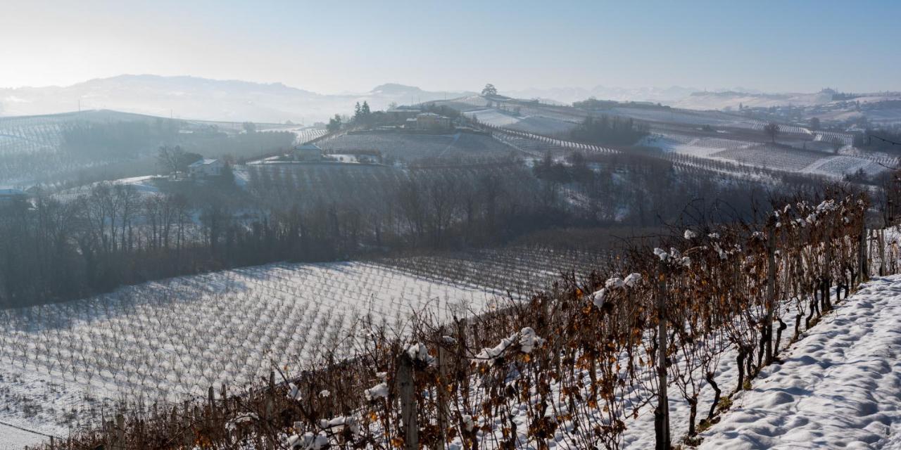 Appartamenti La Picchiera - Jole La Morra Exterior foto